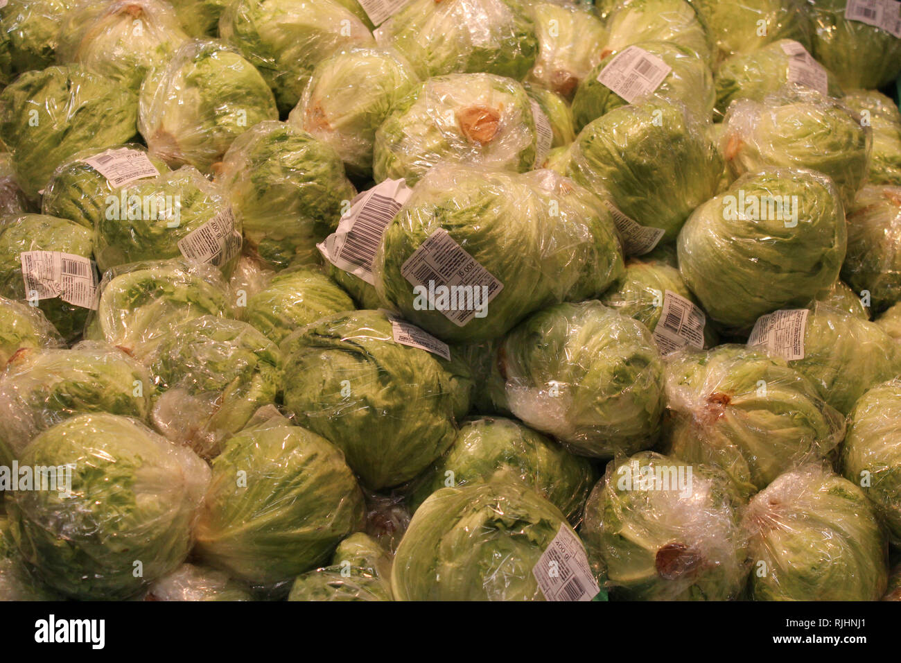 Visualizzazione delle piante di lattuga imballaggi in plastica su un supermercato Foto Stock