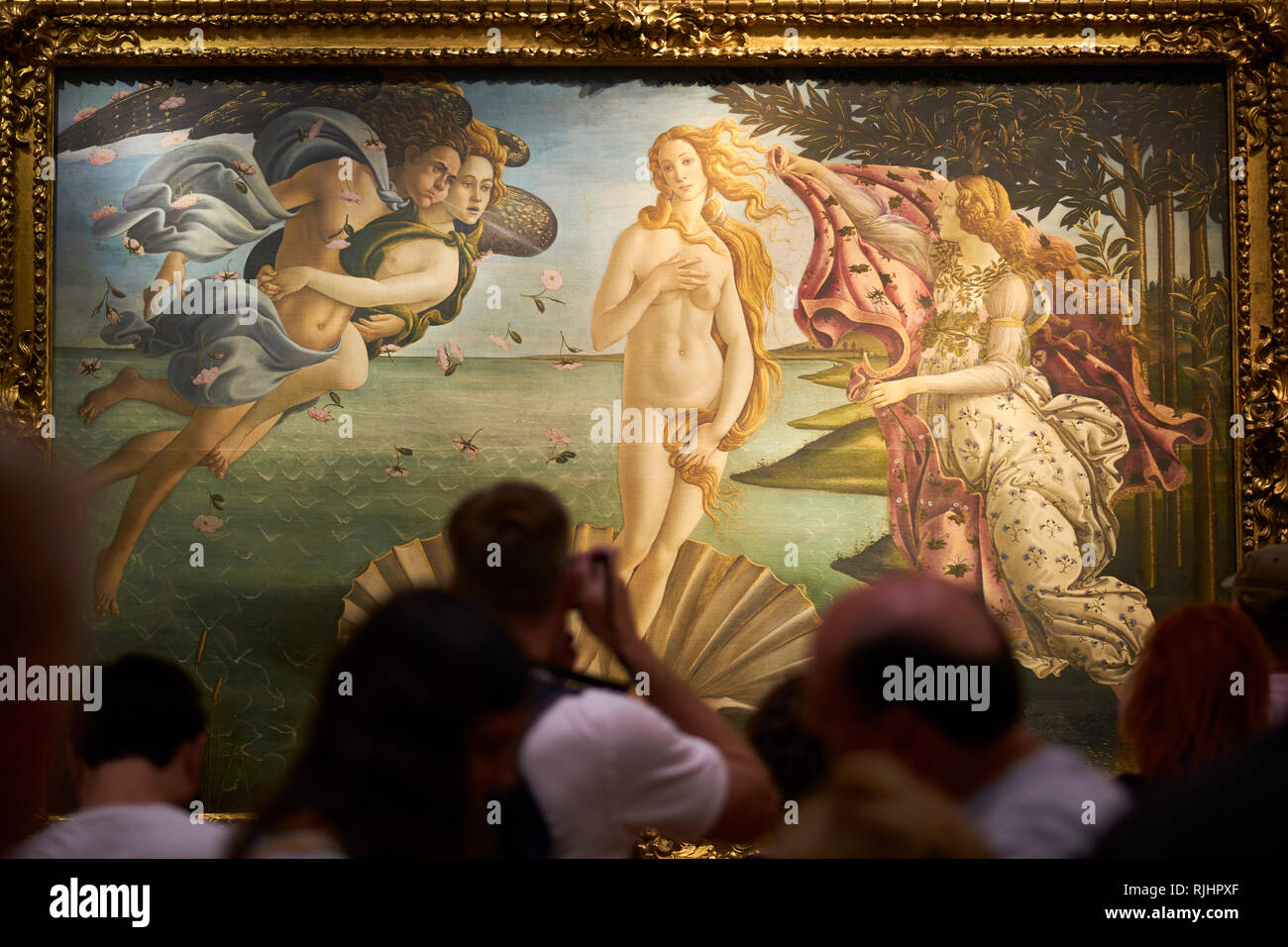 La Nascita di Venere nella Galleria degli Uffizi, Firenze, Italia Foto Stock