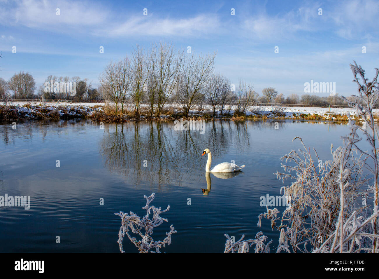 Scena invernale sul Fiume Tamigi a Buscot, Oxfordshire, Regno Unito Foto Stock