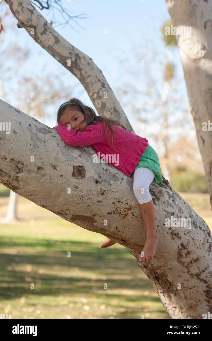 Ragazza giovane posa su un ramo di albero Foto Stock