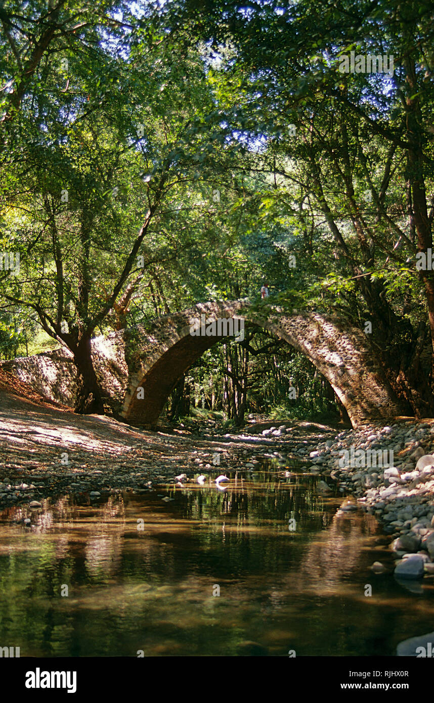 Bellissima medievale singolo Kelefos arcuata ponte attraverso il flusso Dhiarizos amid fitta foresta verde: Cipro Foto Stock