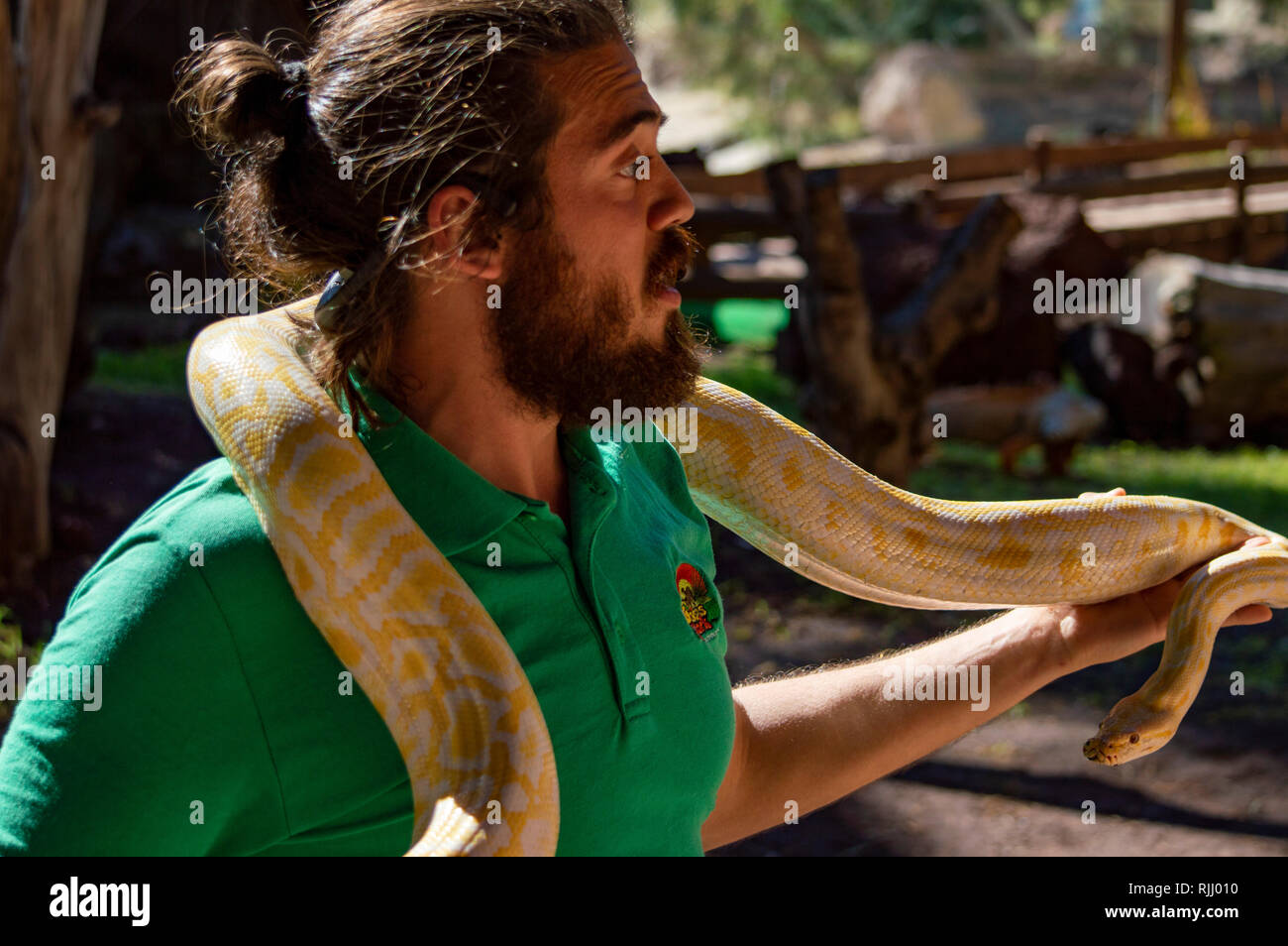 Un serpente all'Oasis Park a Fuerteventura Isole Canarie Foto Stock