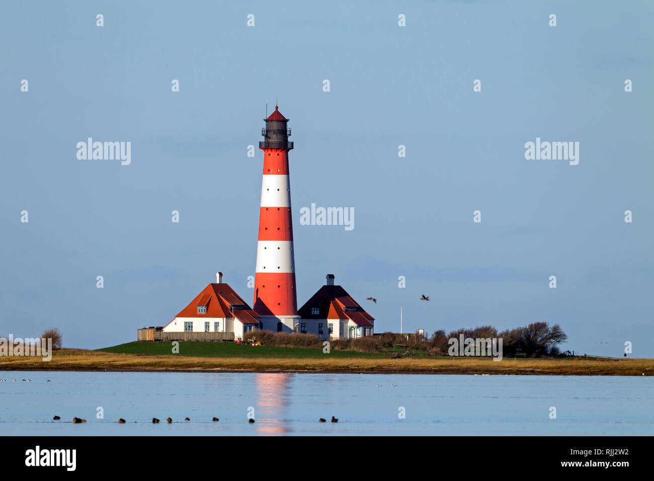 Il Lighthouse Westerheversand. Penisola di Eiderstedt, Frisia settentrionale, Germania Foto Stock