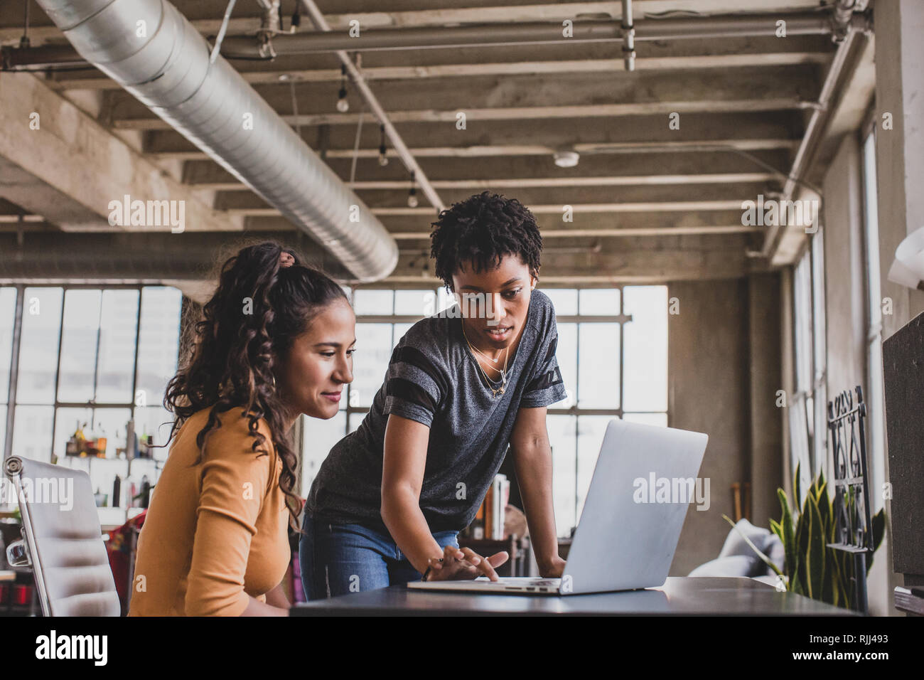 I giovani adulti che studiano insieme in un appartamento loft Foto Stock