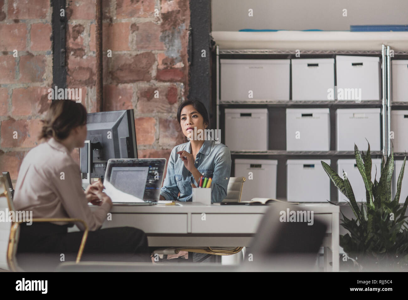 Femmina di collaboratori che lavorano insieme in un ufficio creativo Foto Stock