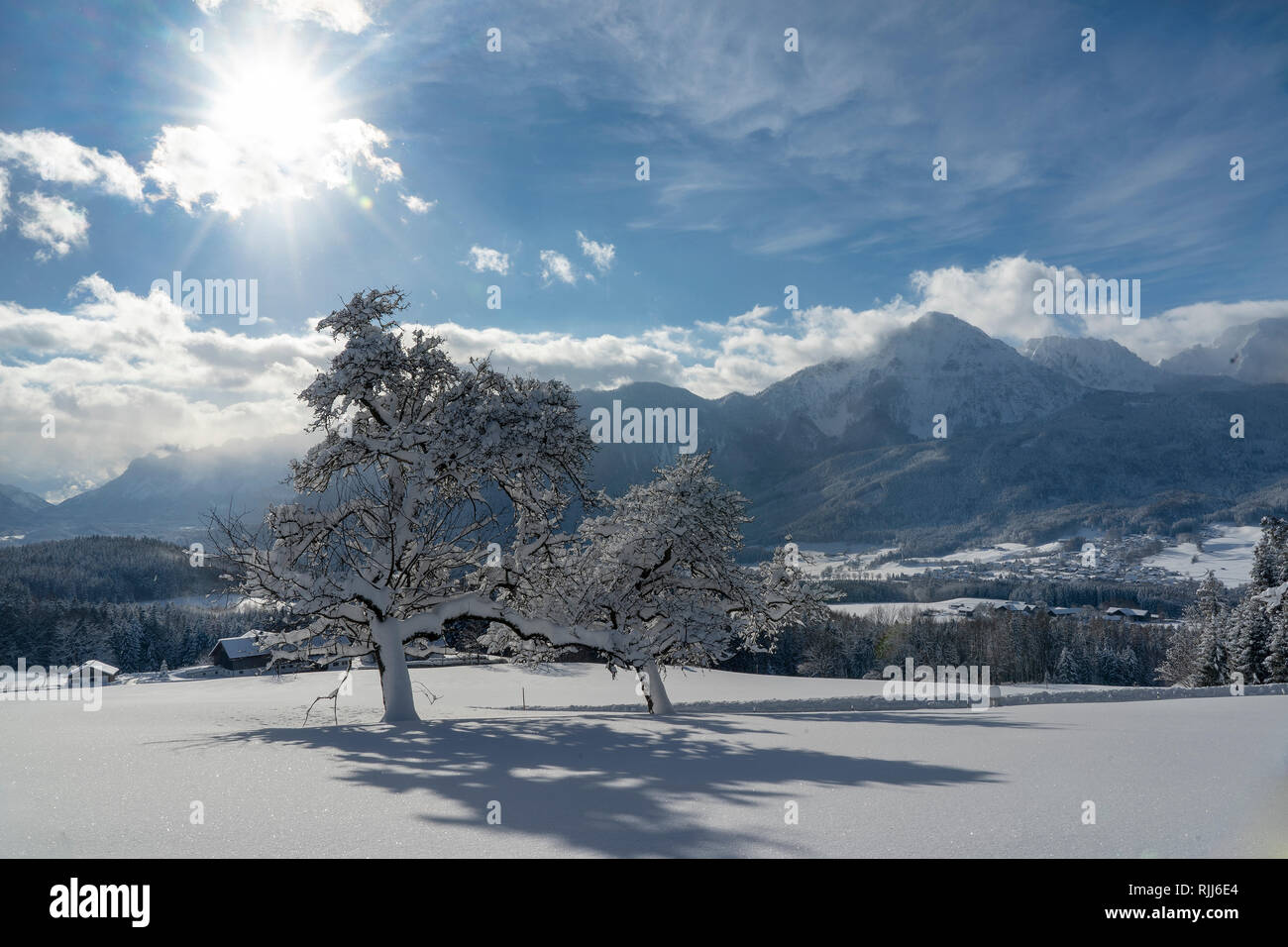 Paesaggio Di Inverno vicino Stoisser Achental e la montagna Hochstaufen e Zwiesel in background. Berchtesgaden, Baviera, Germania Foto Stock
