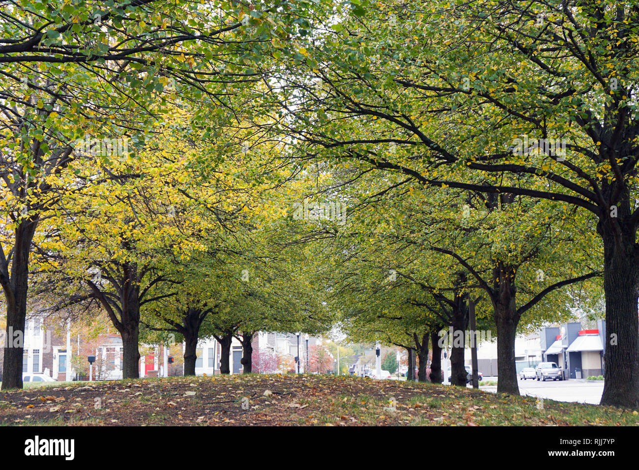 Autunno a colori in Cleveland Ohio un calo di giri per l'inverno. Foto Stock