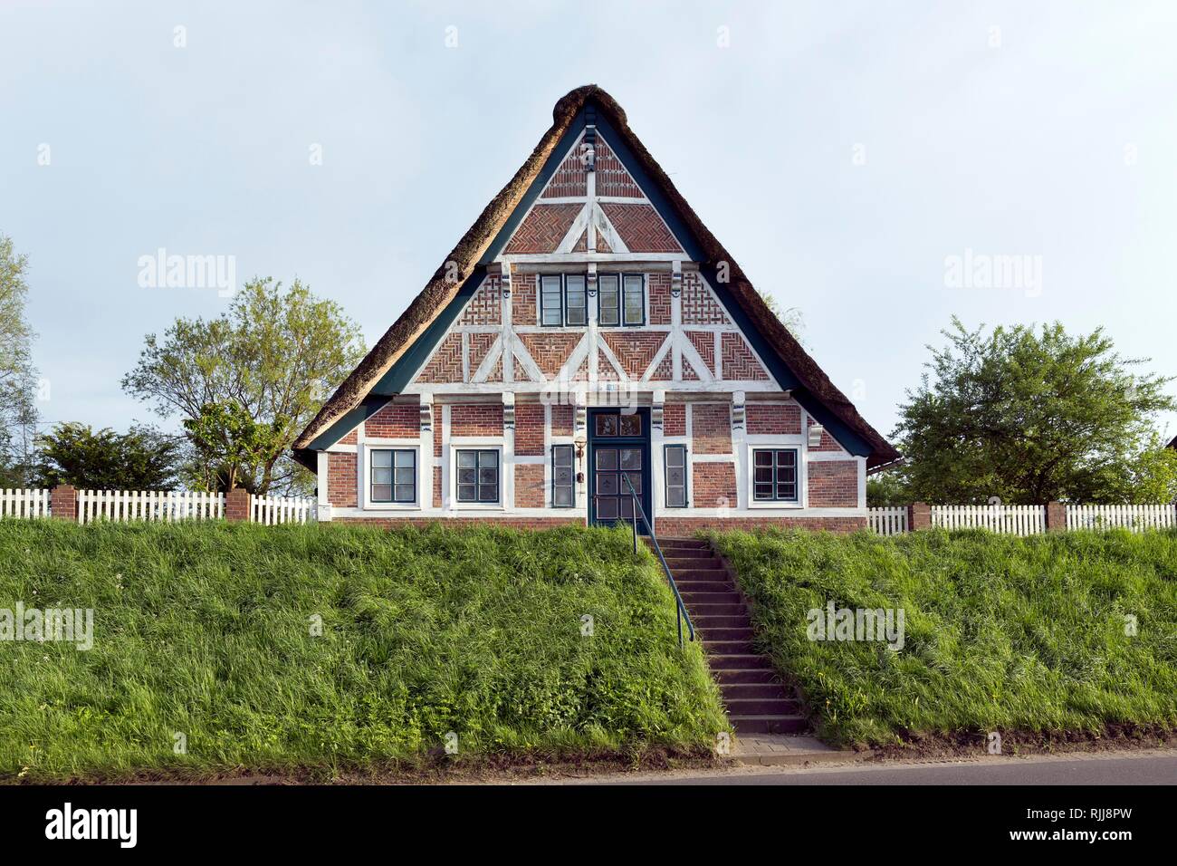 Altländer agriturismo, casa in legno e muratura con tetto di paglia, Mittelkirchen, Lühe, Altes Land Bassa Sassonia, Germania Foto Stock