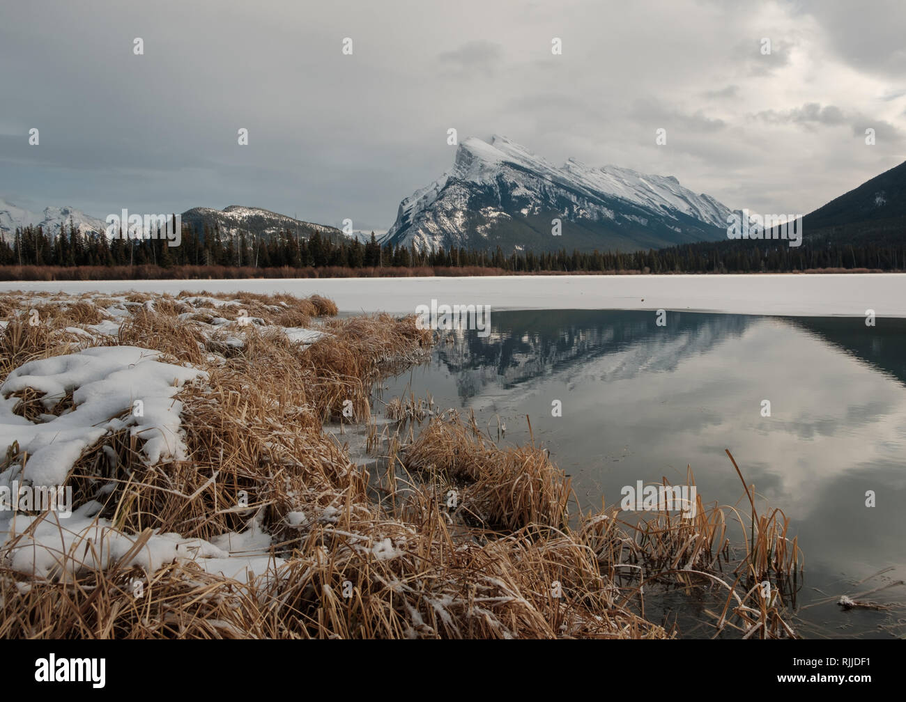 Inizio inverno mattina nel Parco Nazionale di Banff in prossimità di Banff e Canmore, Alberta, Canada Foto Stock