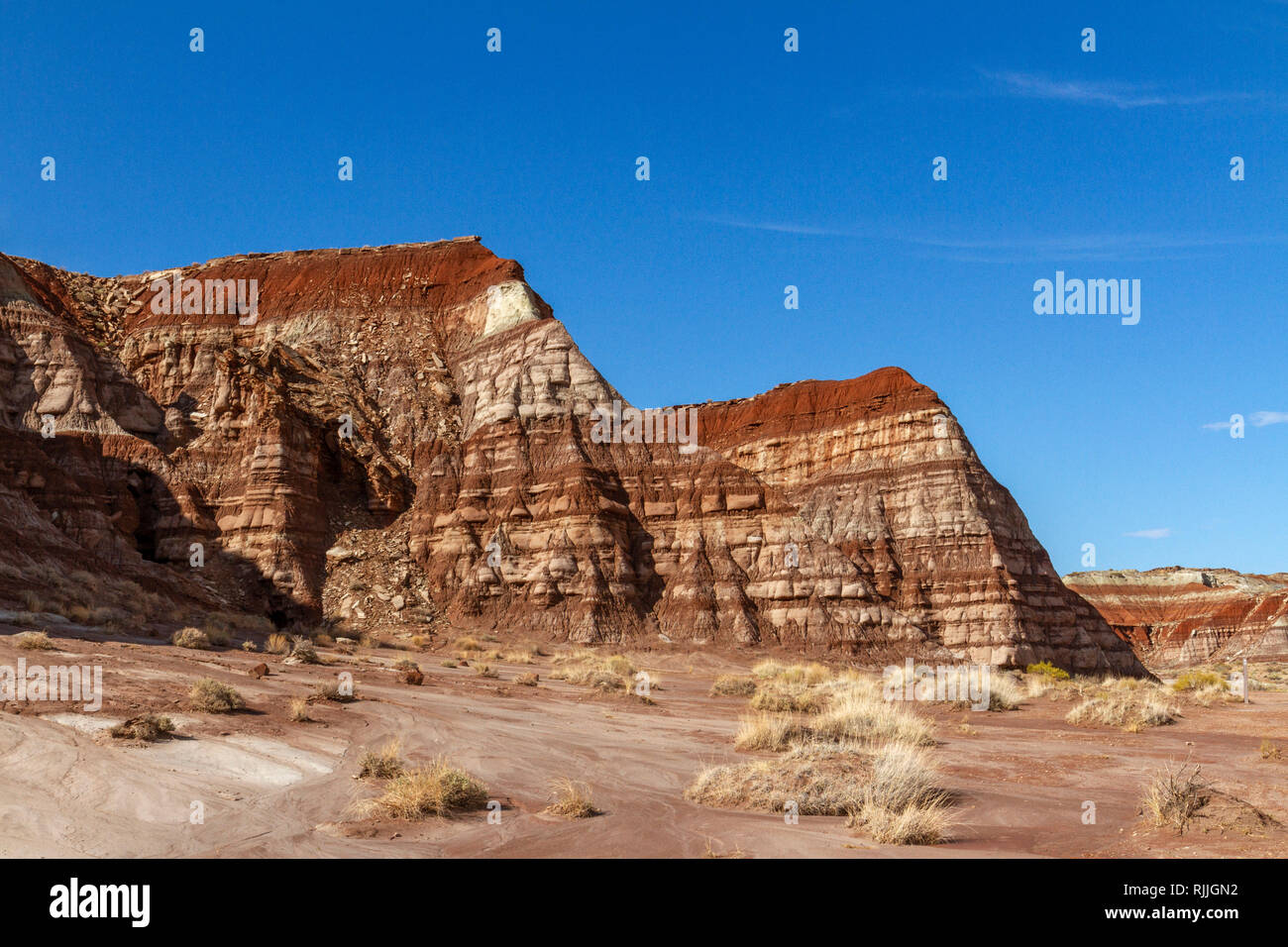 Vista generale del Toadstool Hoodoos, di un'area di forma toadstool rocce equilibrato nel Grand Staircase-Escalante monumento nazionale, UT, STATI UNITI D'AMERICA. Foto Stock