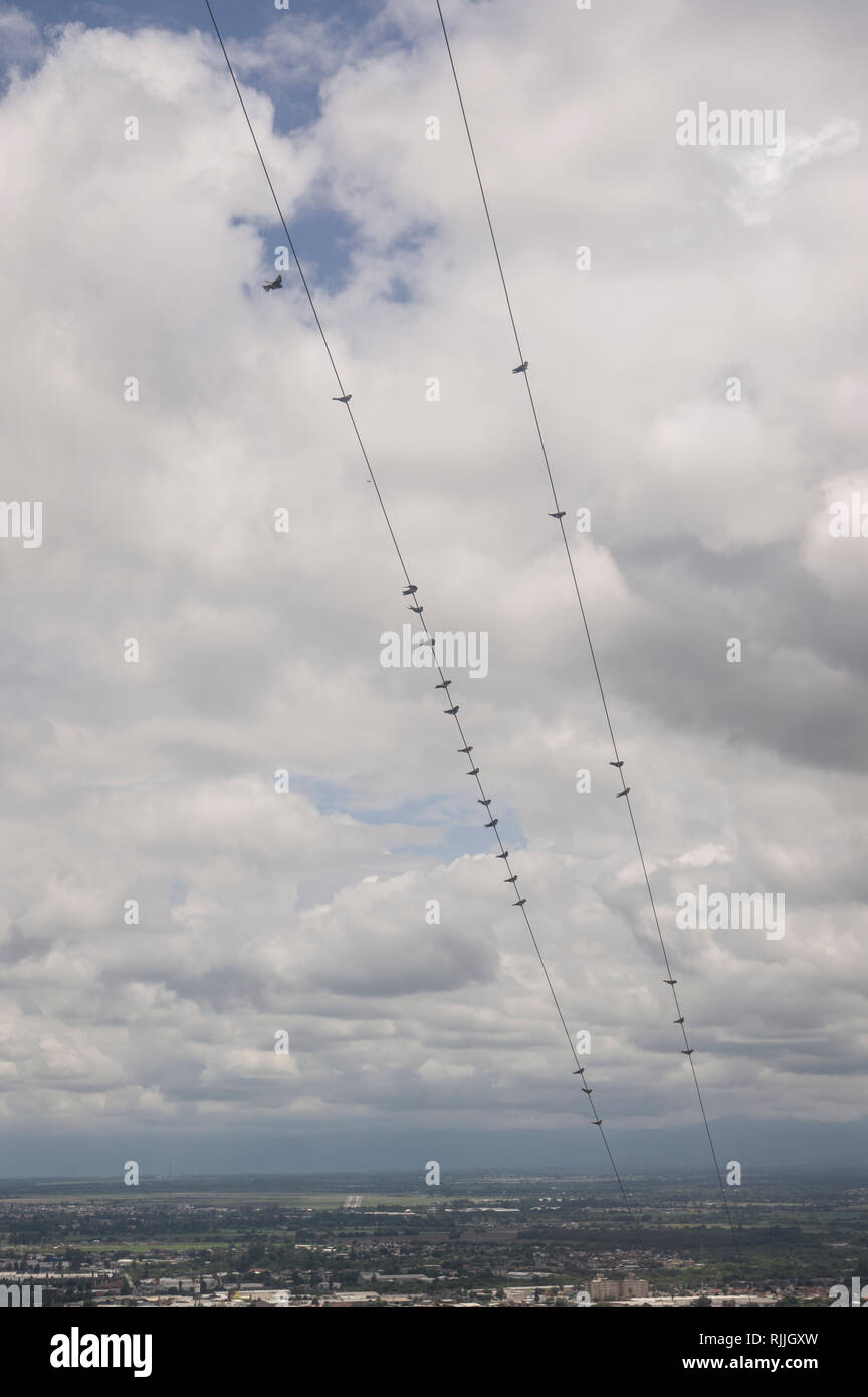 Vista di uccelli sui cavi telefonici dalla funivia, teleferico, nella città di Salta in Argentina del nord Foto Stock