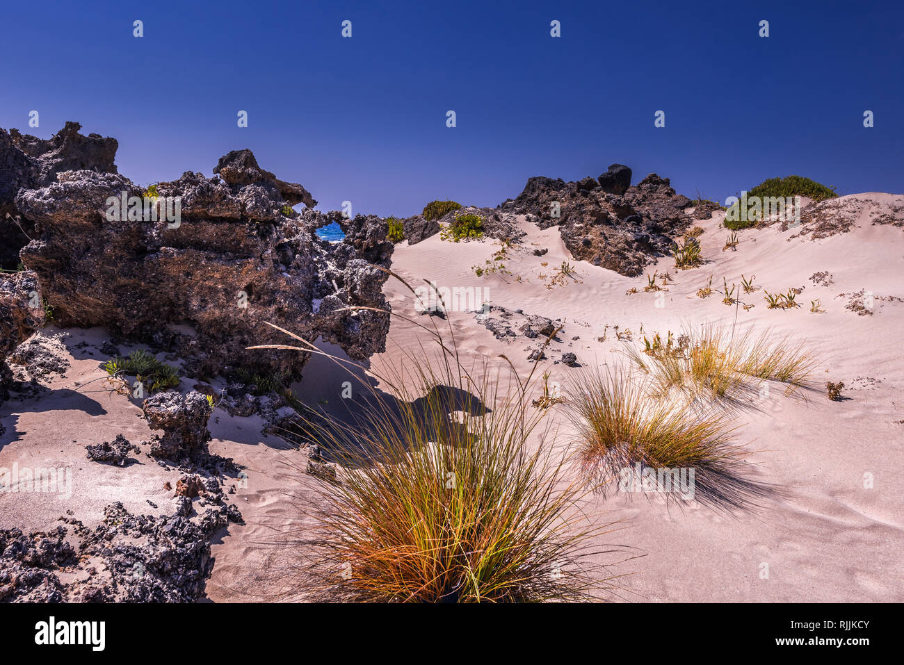 Le dune di sabbia bianca con rocce e arancione brillante di erba a la costa di Isola di Creta. Il mare è visibile attraverso il foro nella roccia. Cielo blu chiaro. Orizzonte Foto Stock