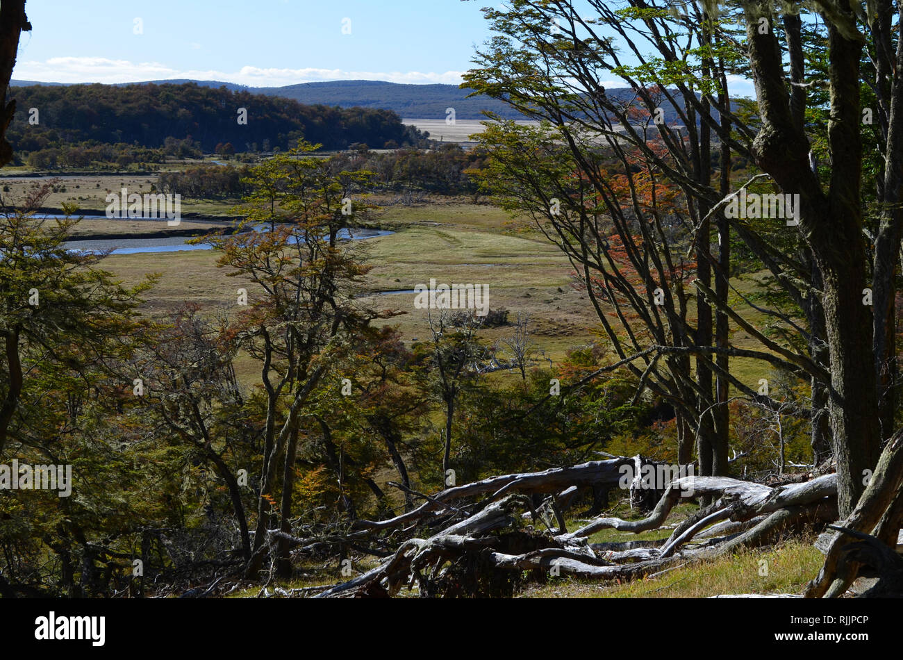 Karukinka, un incontaminato della riserva della biosfera nel cuore di Tierra del Fuego, sud del Cile Foto Stock
