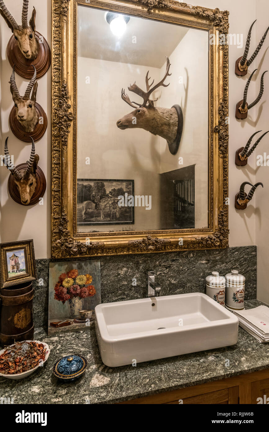 Antichi trofei di caccia di un testa di alce surround lavabo in marmo nel guardaroba Foto Stock
