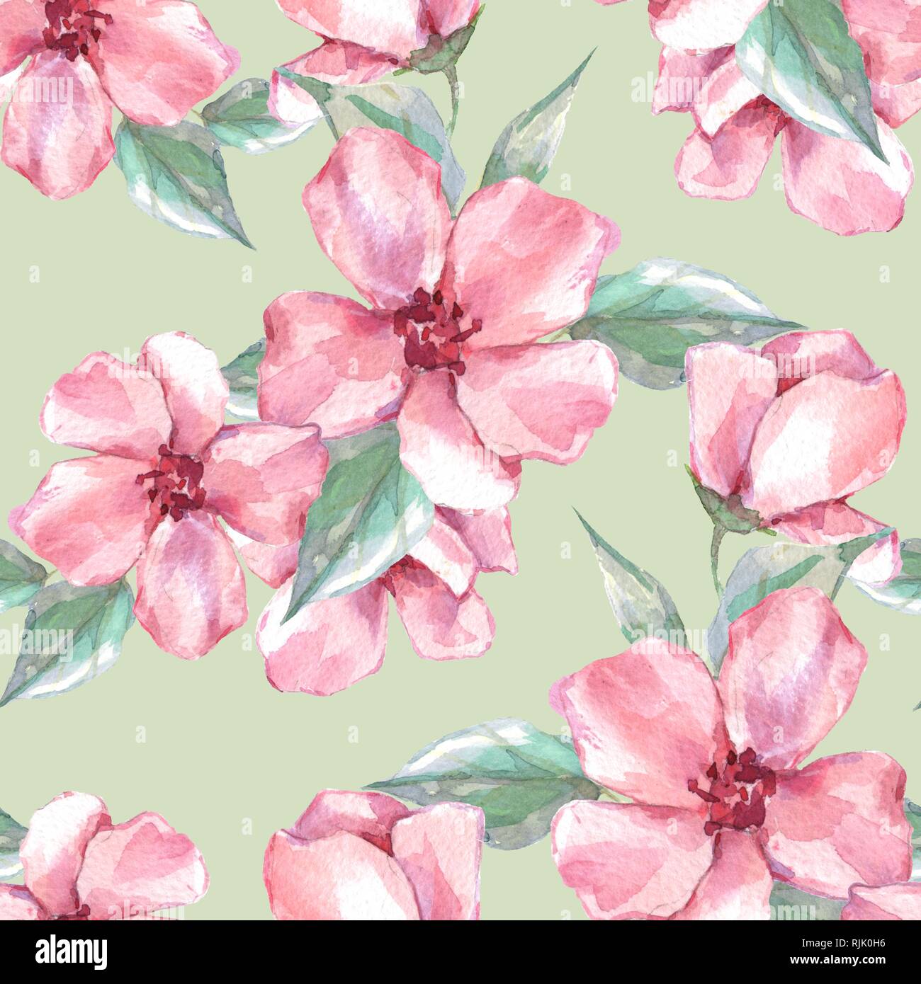 Floral seamless pattern con fiori di colore rosa Foto Stock