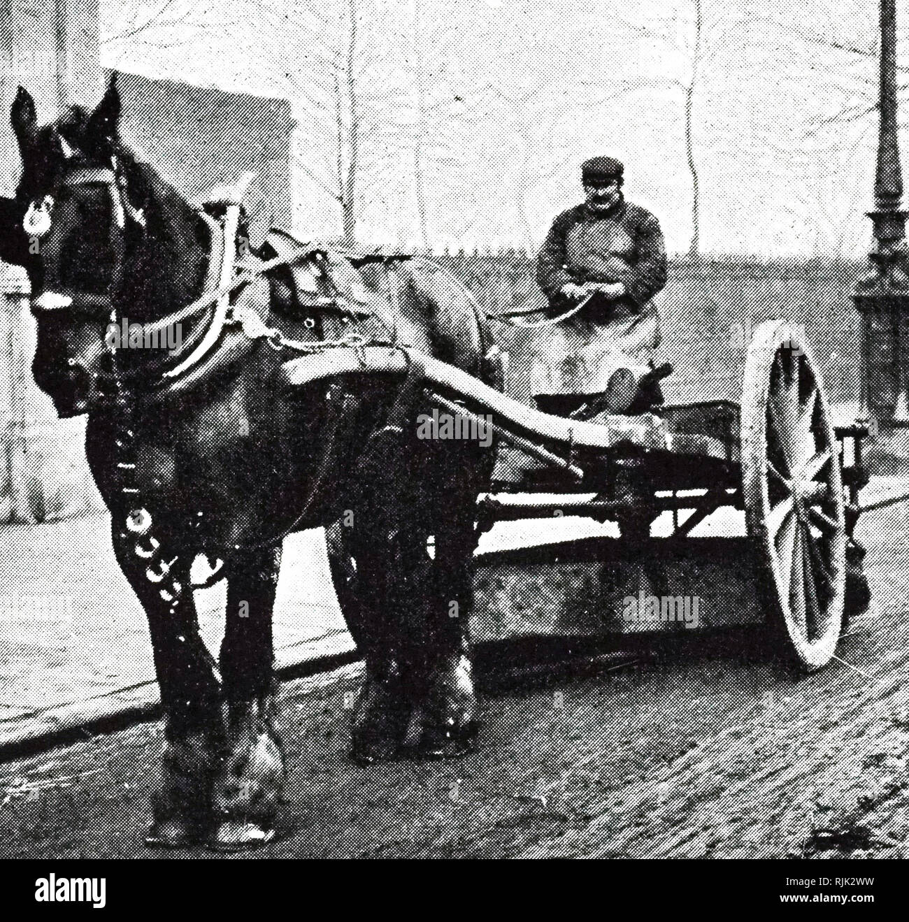 Una fotografia di un cavallo scopa a pulire le strade di Londra. In data xx secolo Foto Stock