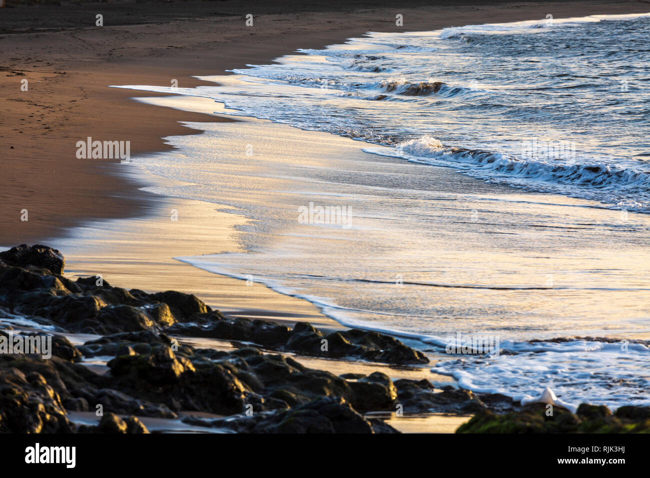 Golden dawn che riflette la luce solare sulla marea lungo il litorale della Playa de Tejita spiaggia sulla costa est di Tenerife, Isole Canarie, Spagna Foto Stock
