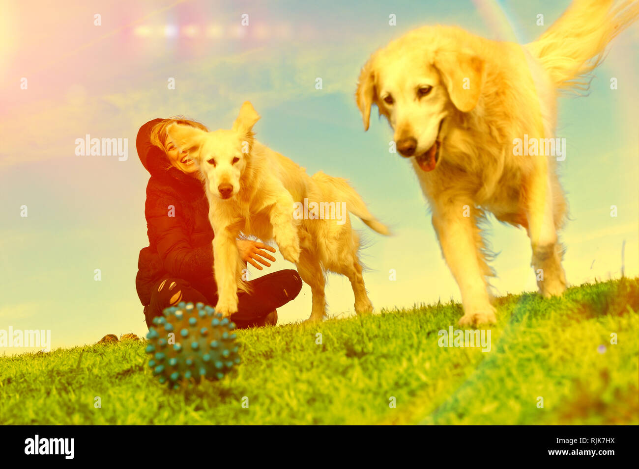 La donna e i cani giocando nel park.Companion animali domestici concept Foto Stock