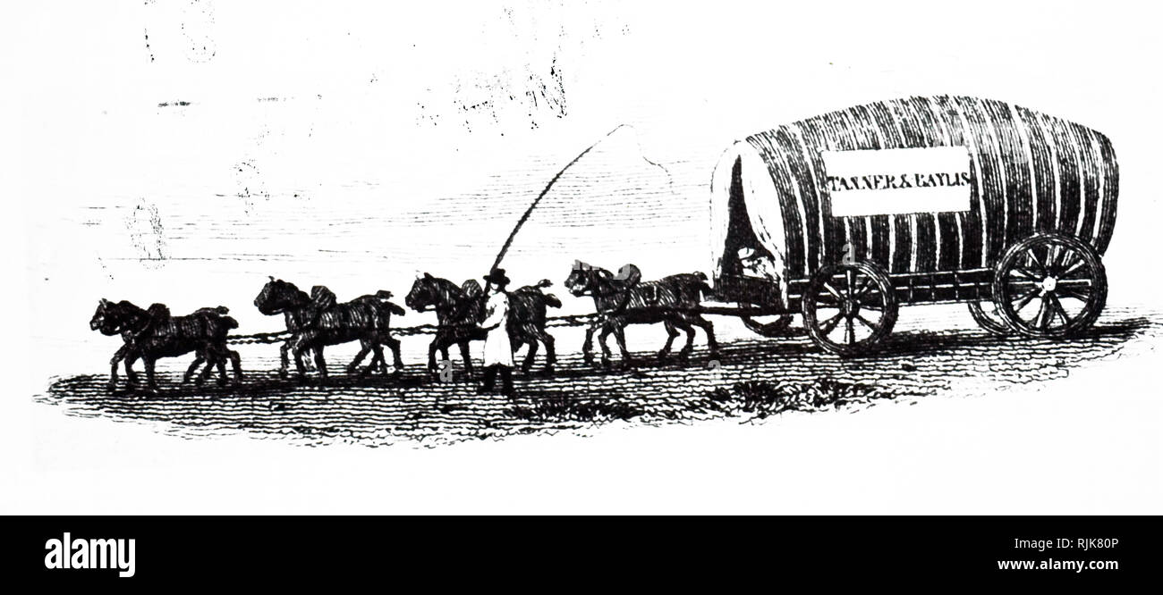 Una incisione raffigurante un carter e carro. Datata del XIX secolo Foto Stock