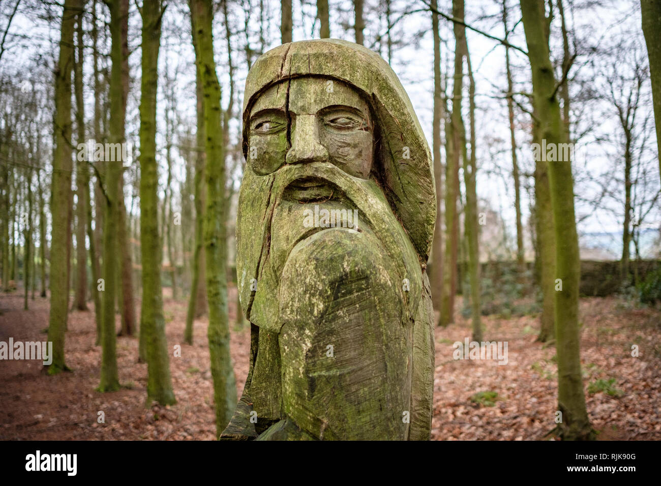 Intaglio del legno in St Ives Estate in Bingley, Bradford, West Yorkshire. Foto Stock