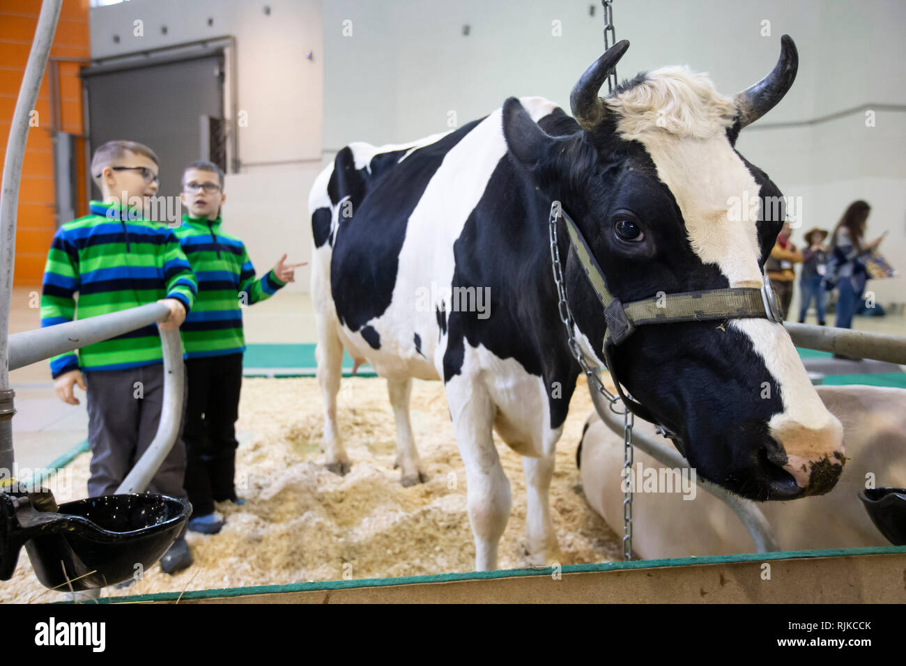 Mosca, Russia. 6 febbraio, 2019. La gente visita il AgroFarm 2019 mostra a Mosca, in Russia, il 6 febbraio 2019. Circa 400 aziende di 30 paesi hanno preso parte alla mostra. Credito: Alexander Zemlianichenko Jr/Xinhua/Alamy Live News Foto Stock