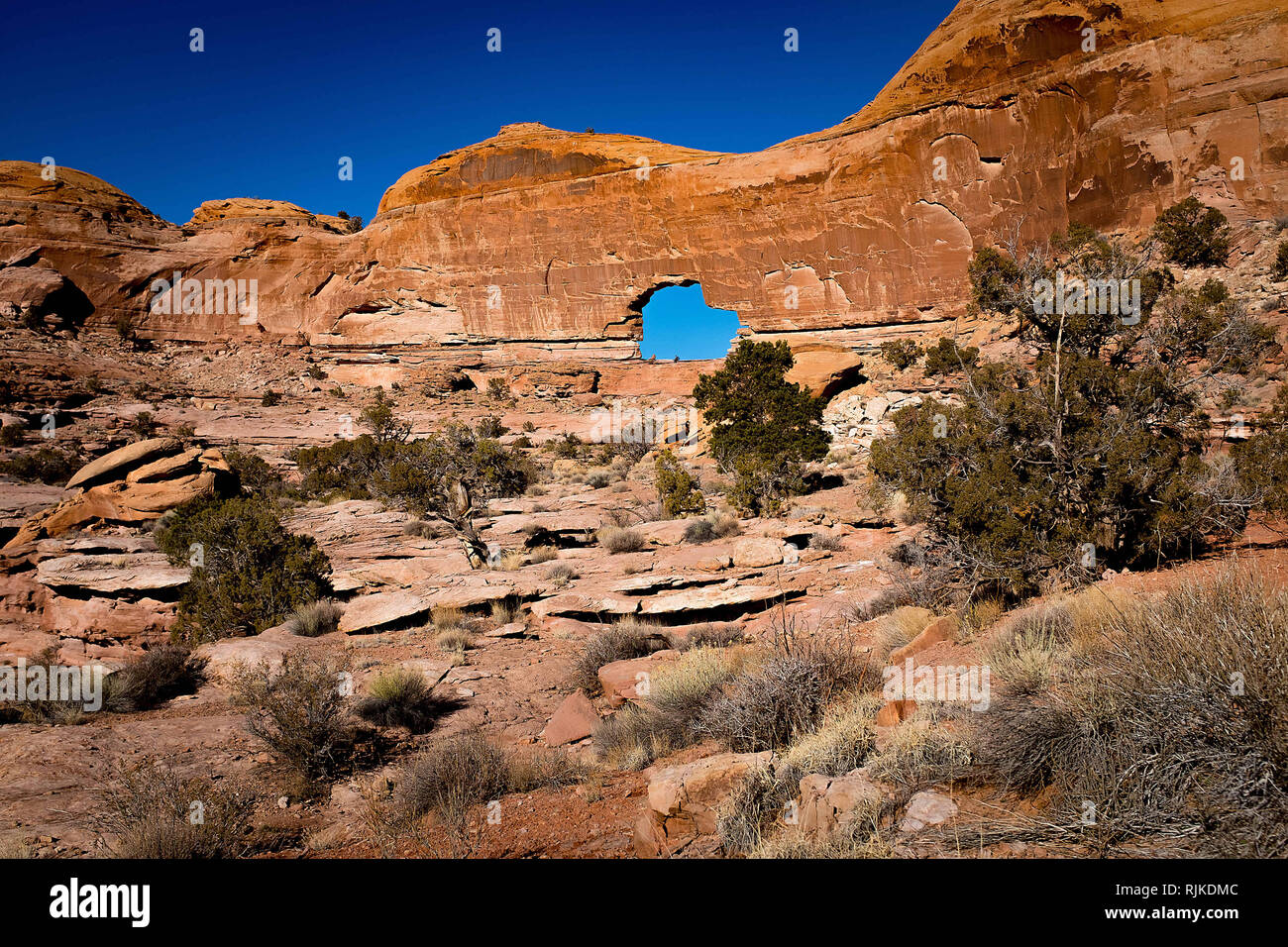 Gennaio 2019: antiche pareti del canyon e inverno profondo cielo blu cornice spettacolare Gold Bar Arch, anche noto come Arco di Jeep, che si trova appena fuori dal Parco Nazionale di Canyonlands su Stati Uniti Bureau of Land Management terreno vicino a Moab, Utah. Larry chiusa/CSM Foto Stock