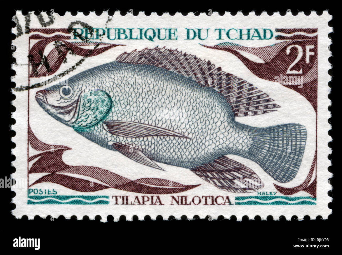 Con timbro postale timbro dal Ciad in nativo pesci di acqua dolce serie rilasciato in 1969 Foto Stock