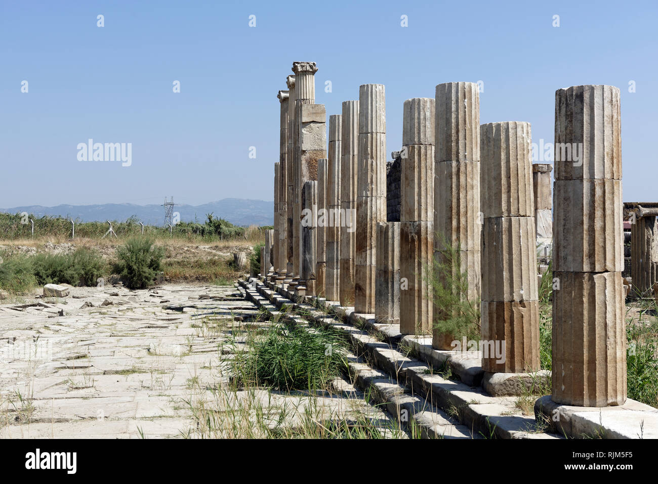 L'elegante stoa ionica del grande Agora (188 x 99 metri). Magnesia sul meandro, Tekin, Ionia, Turchia. L'architetto responsabile per le eleganti Foto Stock