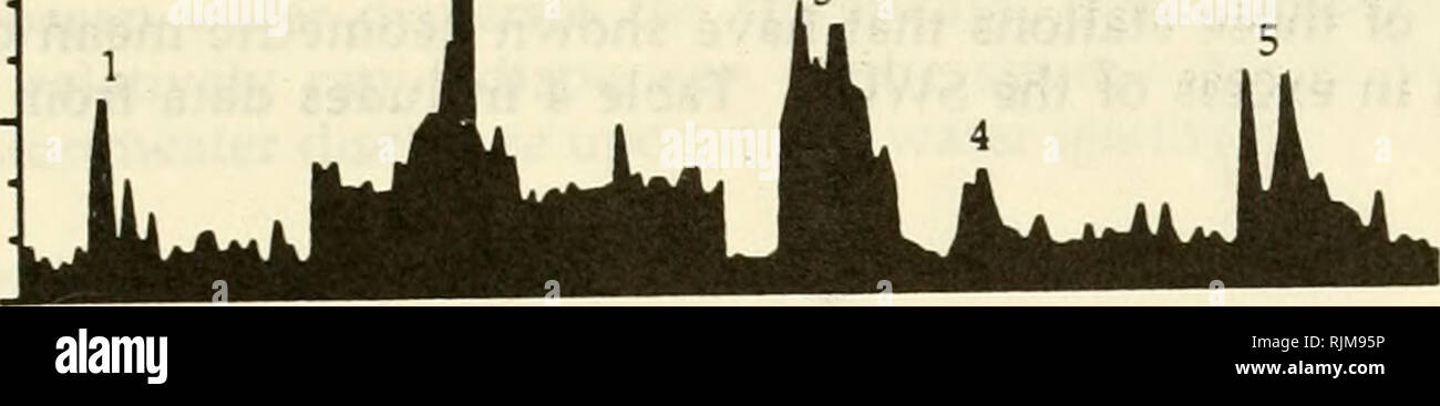 . Spiagge di valutazione ambientale, chiusura e Health Act del 1993 : udienza dinanzi alla sottocommissione per la oceanografia, Golfo del Messico, e la superficie continentale; giunto con il sottocomitato sull'ambiente e le risorse naturali del Comitato sulla marina mercantile e della pesca, Casa dei Rappresentanti, un centinaio di terzo congresso, prima sessione, su H.R. 31 ... Il 15 luglio 1993. Spiagge -- Diritto e legislazione degli Stati Uniti; inquinamento marino -- Diritto e legislazione degli Stati Uniti; la gestione delle zone costiere -- Diritto e legislazione degli Stati Uniti. 125 GRAFICO 3 1990 FC/lOOmL SWQS. Stazioni di oceano da Sandy Foto Stock