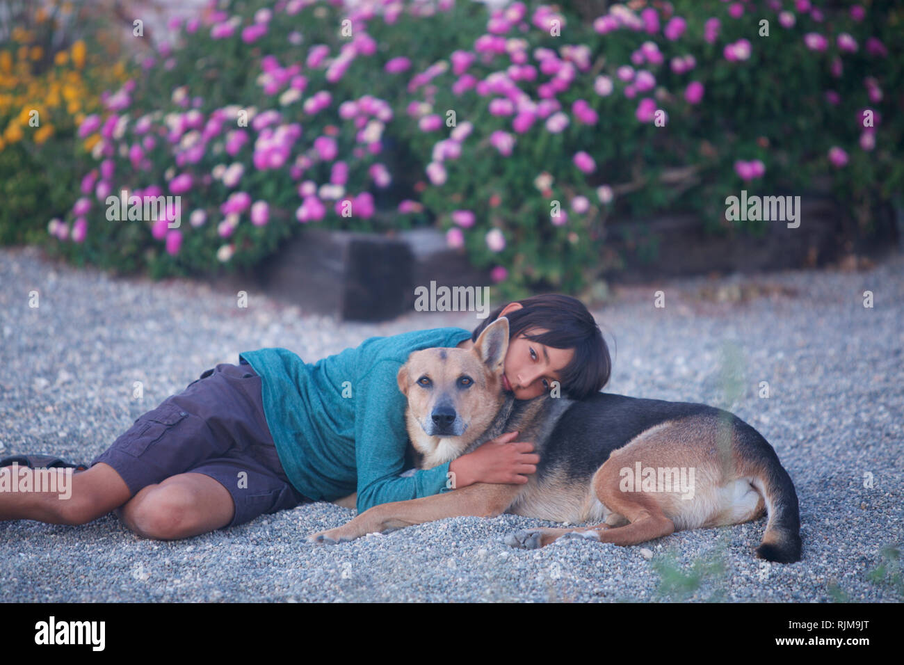 Ragazzo ed il suo cane Foto Stock