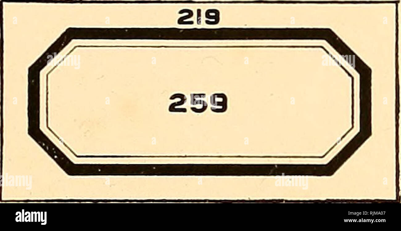 . Apparecchiatura batteriologica : patologici, biochimici. Apparecchio scientifico e strumenti; batteriologia; industria chimica. Wfjtf Hill dnrjuiratton, ^.aciftBUr, 2J. # B&amp;LO CO. 13910. 13920 13910 etichette-gommate. Di qualità superiore; stampato su carta bianca con bordo rosso. No . A B C D E F numero 223 217 213 209 205 201, lunghezza mm 20 25 30 35 45 65 Larghezza, mm 15 20 25 28 35 40 per 12 caselle 1,00 1,00 1,00 1,00 1,00 1,00 per scatola .10 .10 .10 .10 .10 .10 n. G H I J K L numero 259 261 219 241 239 229, lunghezza mm 33 50 40 22 30 42 Larghezza, mm 15 15 20 15 18 30 per 12 caselle 1,00 1,00 1,00 1,00 1,0 Foto Stock
