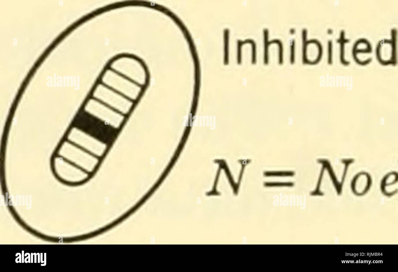 . Gli aspetti fondamentali degli effetti delle radiazioni su sistemi viventi. Radiazione -- effetto fisiologico. 376 perdita di energia e di effetti biologici Dulbecco (36) per raggi ultravioletti-effetti indotti, è stato provato. Questo modello è stato utilizzato quando la letalità di raggi ultravioletti è stato testato su bacterio- fago, attaccato singolarmente o doppiamente ai batteri. Applicare il modello al aploide cellula di lievito, si può calcolare il numero di celle N che sono in grado di sopravvivere e di formare grandi colonie, quando inizialmente un^o sono irradiati dalla dose D. N = Noe-""^ (9) dove n - numero di siti indipendenti di essenziale per la divisione cellulare e inattivato Foto Stock