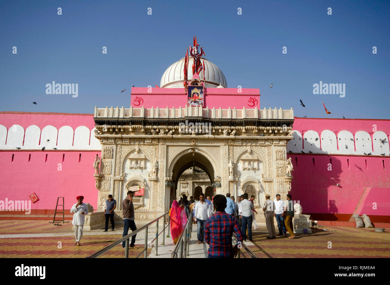 BIKANER, Rajasthan, India, novembre 2018, devoto a Karni Mata o il tempio di ratti Foto Stock