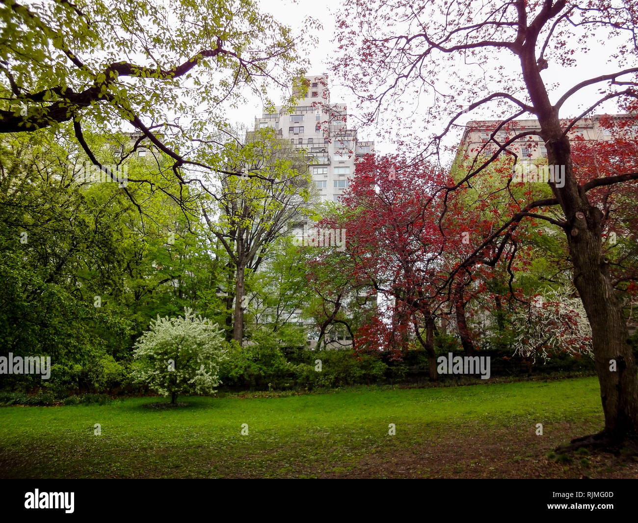 Central Park, New York, Stati Uniti d'America Foto Stock
