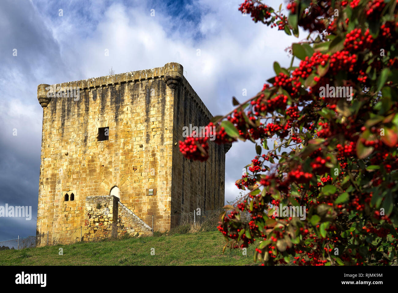 Torre Martiartu, Erandio, Biscaglia, Paese Basco, Euskadi, Spagna, Europa Foto Stock