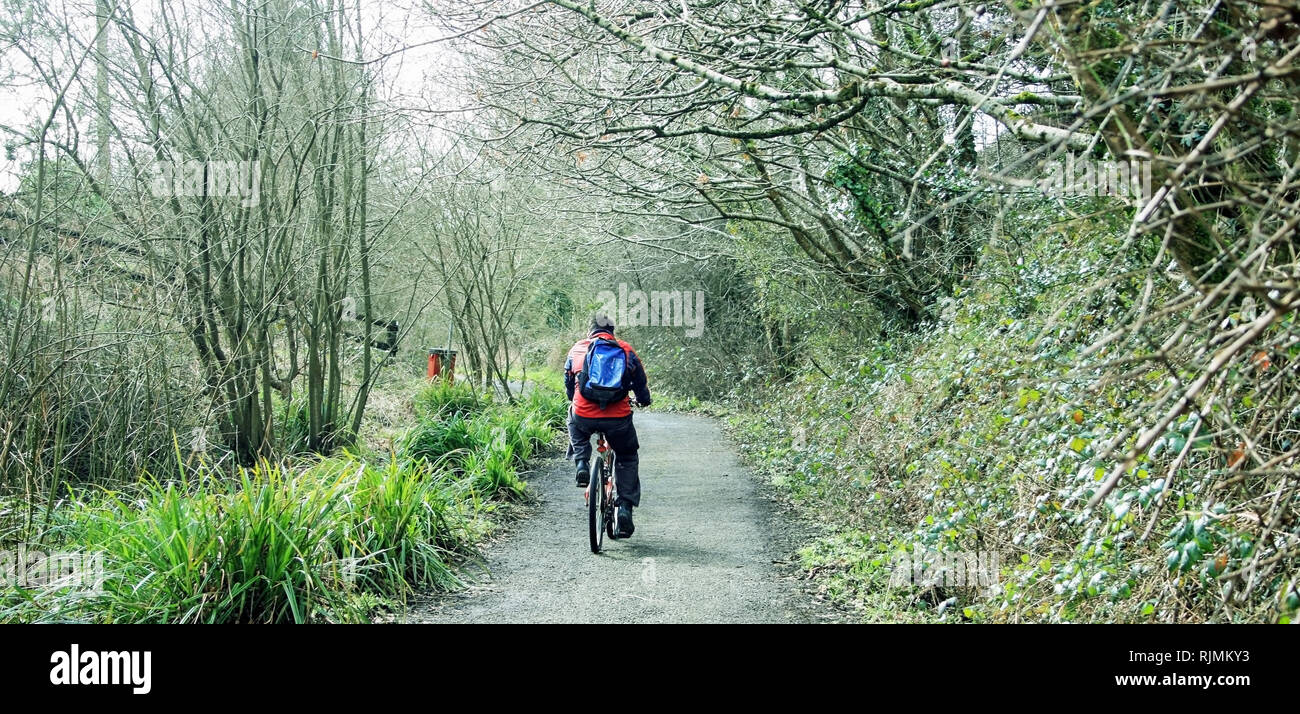 Ciclista viaggia il percorso a Tavistock. Percorso lungo la ex sud della linea ferroviaria da Plymouth a Londra su Dartmoor Foto Stock