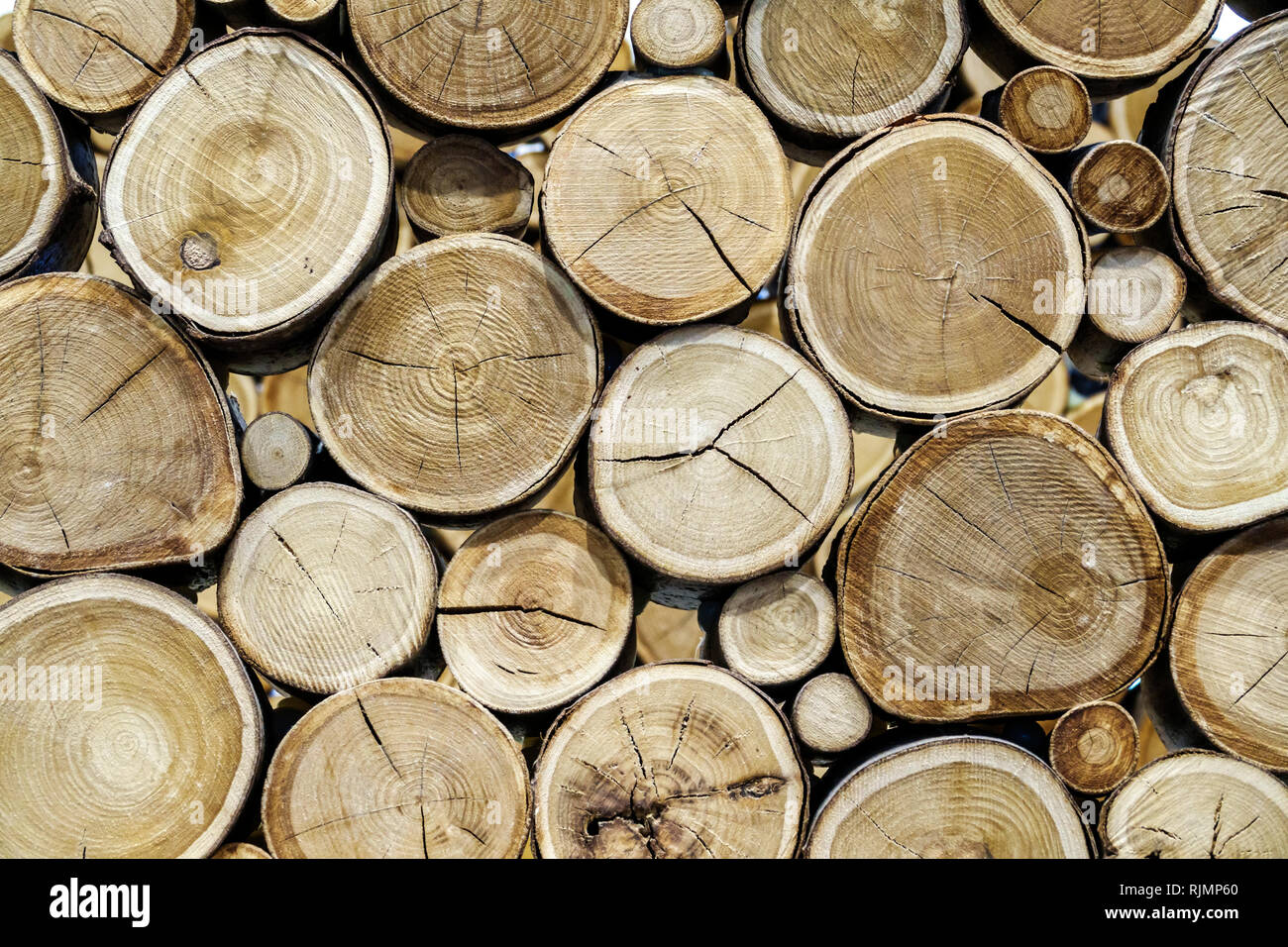 Regno Unito Gran Bretagna Inghilterra Londra lastre di legno a sezione trasversale muro d'arte visite turistiche visitatori viaggio tour turistico landm Foto Stock