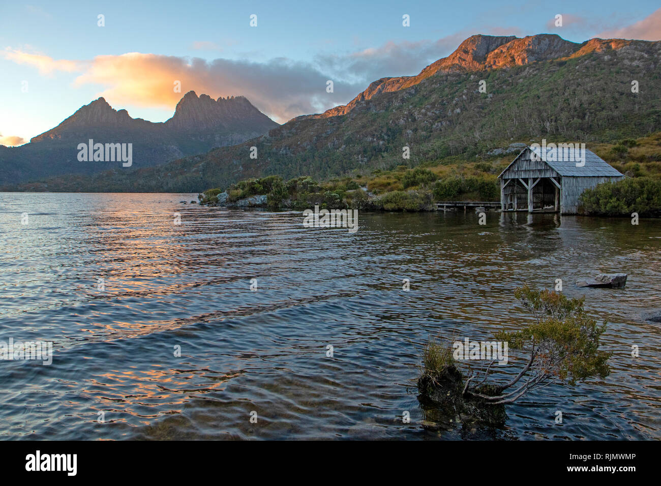 Sunrise al lago colomba e Cradle Mountain Foto Stock