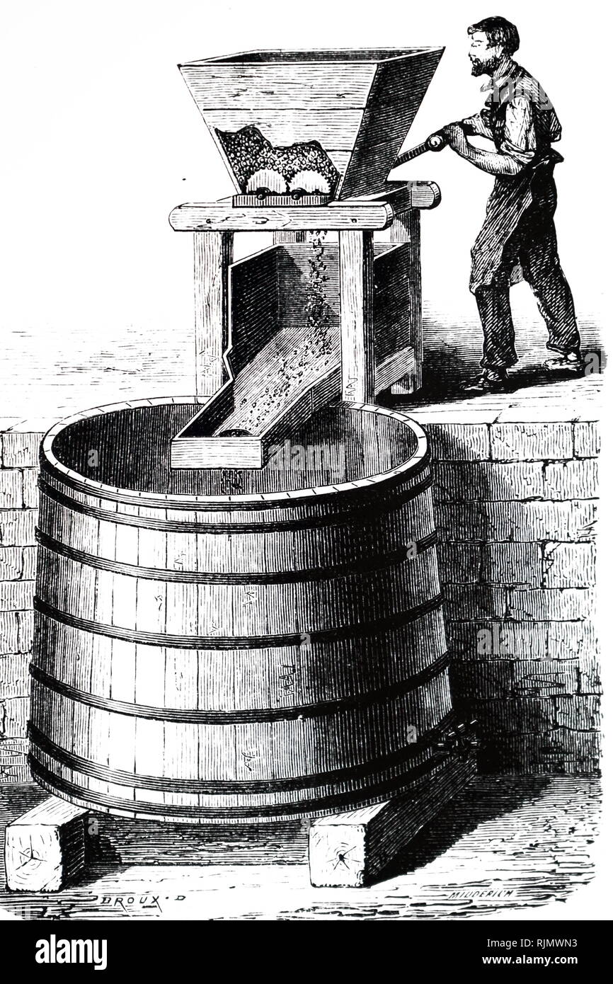 Una incisione raffigurante la pressatura delle uve per i vini. Francia 1870 Foto Stock