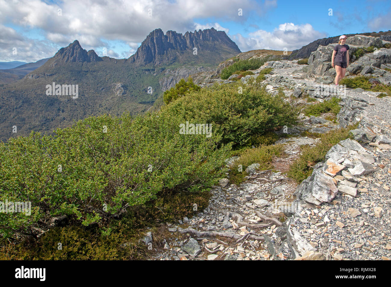 Escursionista presso Marions Lookout con Cradle Mountain dietro Foto Stock
