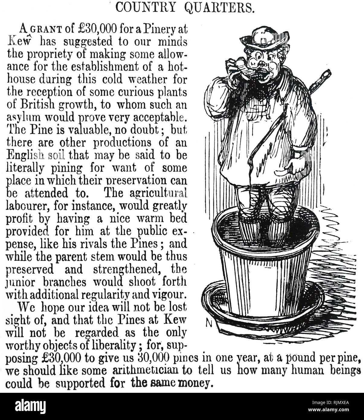 Un motivo per l'inglese operaio agricolo per essere come ben alloggiata come gli alberi nella pineta a Kew Gardens, Londra. Cartoon 1848 Foto Stock