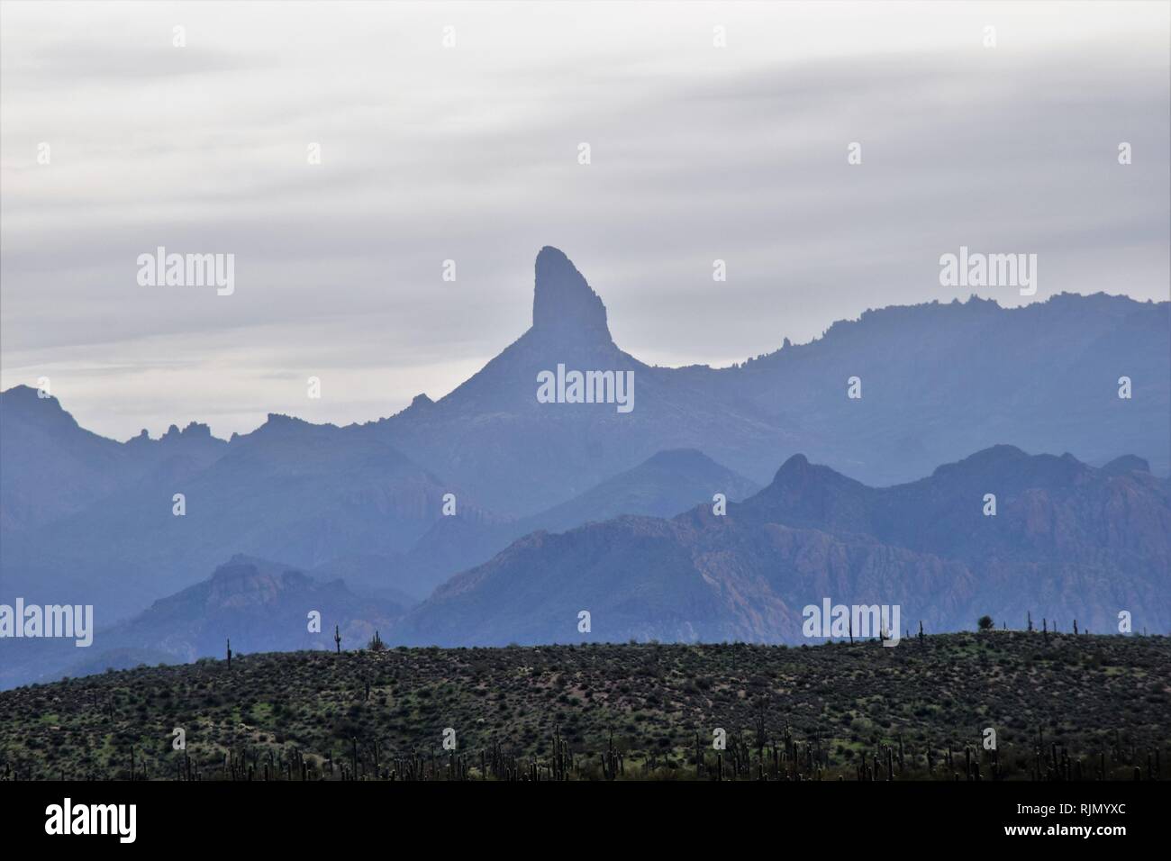 Tessitori ago e quattro picchi nella superstizione zona est di Phoenix Foto Stock