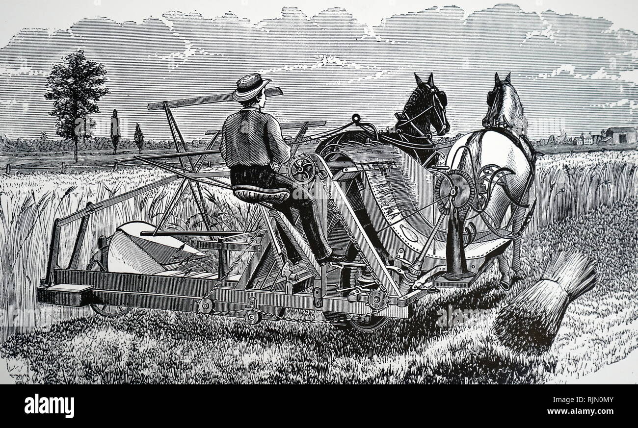 Illustrazione che mostra walter del legno self-binding harvester. 1877 Foto Stock
