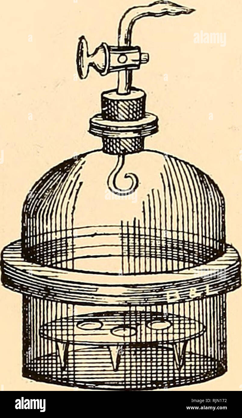 . Apparecchiatura batteriologica : patologici, biochimici. Apparecchio scientifico e strumenti; batteriologia; industria chimica. 2455. 2445 2450 essiccatore-vuoto. Di vetro pesante, con massa-nel manometro e rubinetto in vetro; altezza 200 mm; diametro, 150 mm ciascuno essiccatori-vuoto. Di molto vetro pesante, per resistere a considerare- in grado di pressione; con tappo di gomma, il rubinetto in vetro e piastra di porcellana- No. A B C, diametro mm 100 140 160 Ogni 3.00 4.00 5.00 essiccatori-triangolare. Di vetro pesante; progettato per uso in bal- mente casi; larghezza del lato 2 in.; altezza, 1% in ciascun essiccatore piastre. Di Coors p Foto Stock