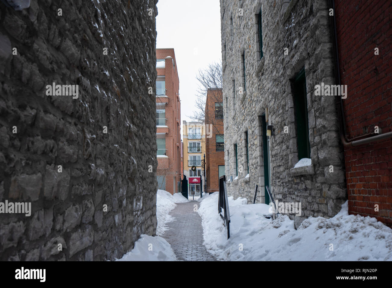 Inverno 2019 a Ottawa Foto Stock