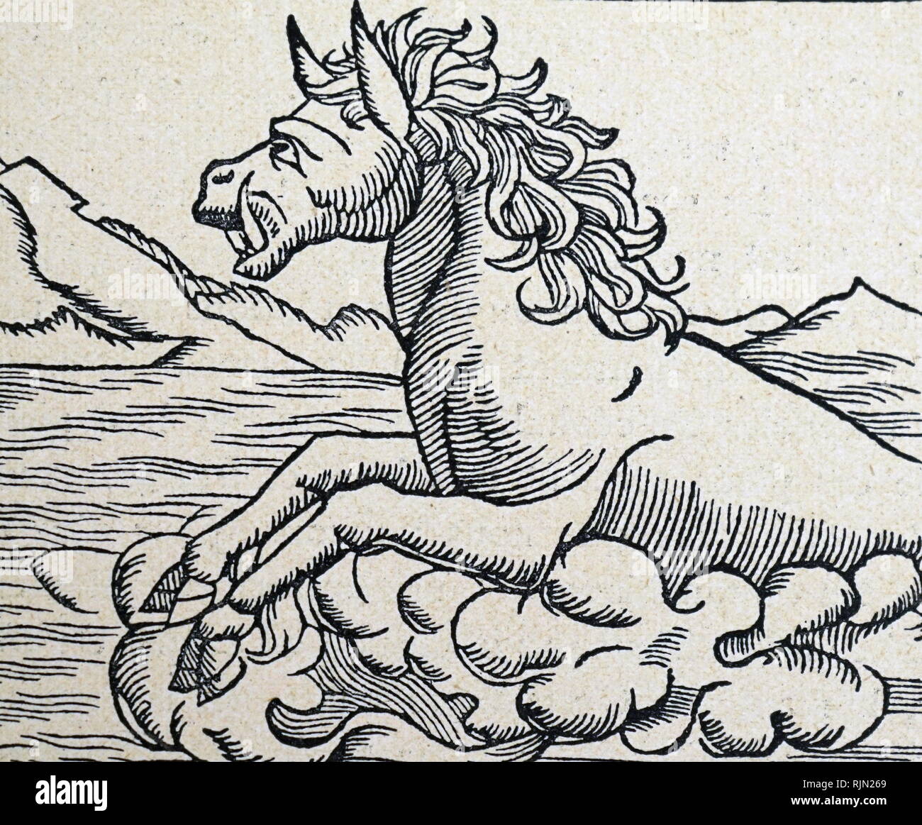 Illustrazione che mostra il Mermaid, merman e scimmia di mare da Johannes de Cuba, "Hortus Sanitas' 1491 Foto Stock