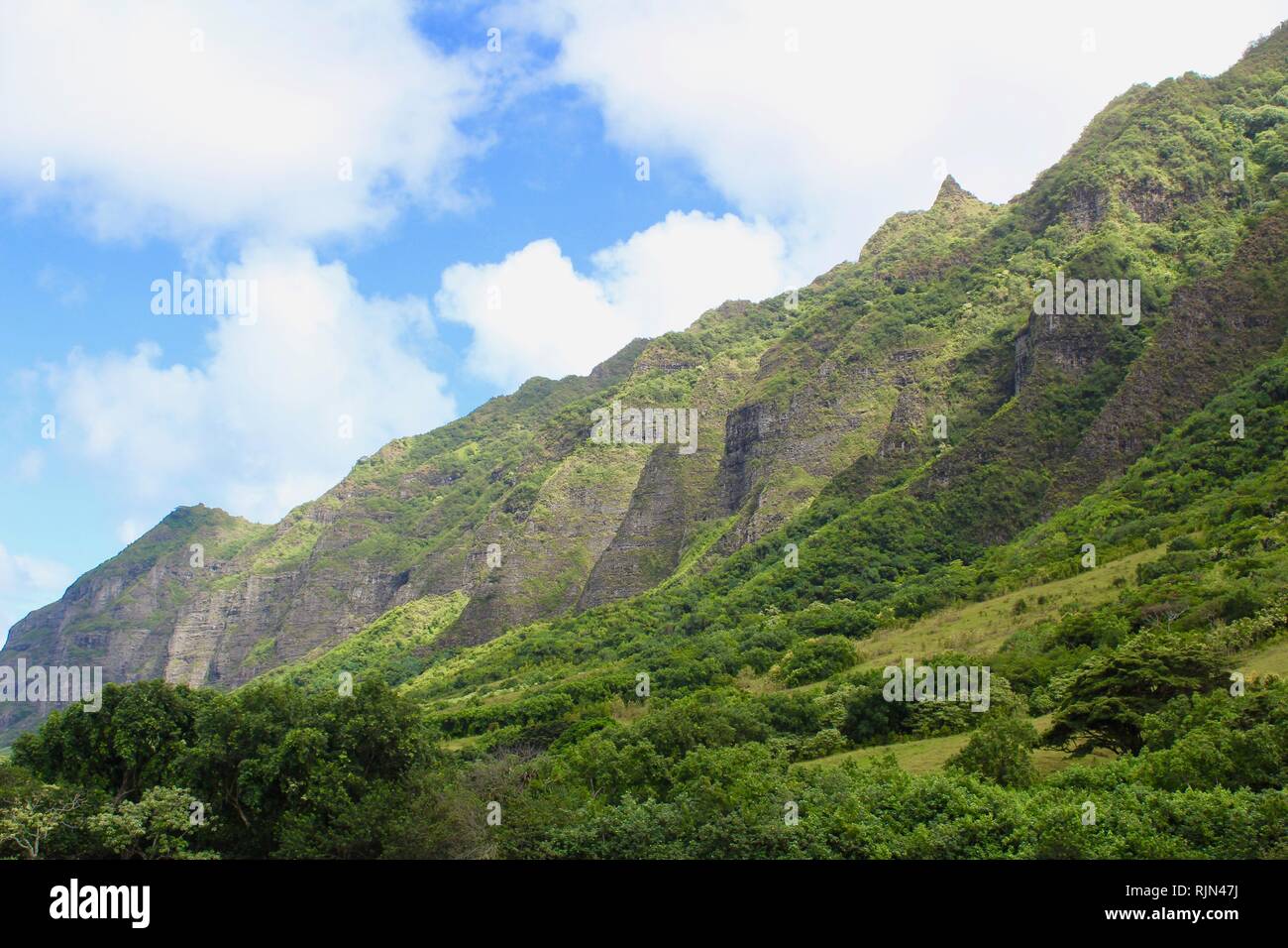 Colline di Kualoa Ranch Foto Stock