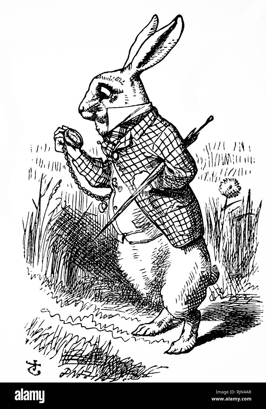Lewis Carroll (1832-98) "Alice nel paese delle meraviglie, Londra, 1865. Illustrazione di John Tenniel che mostra il coniglio bianco guardando il suo orologio e esclamando Oh caro; Oh caro, sarò troppo tardi prima che sparò verso il basso un grande coniglio-foro. Foto Stock