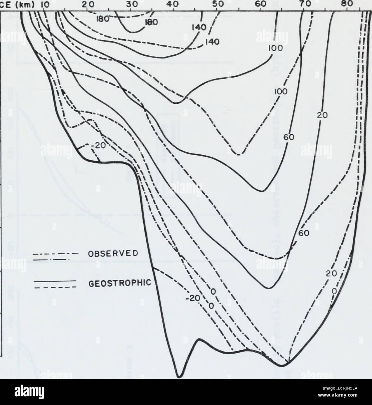 Velocità datazione PDX