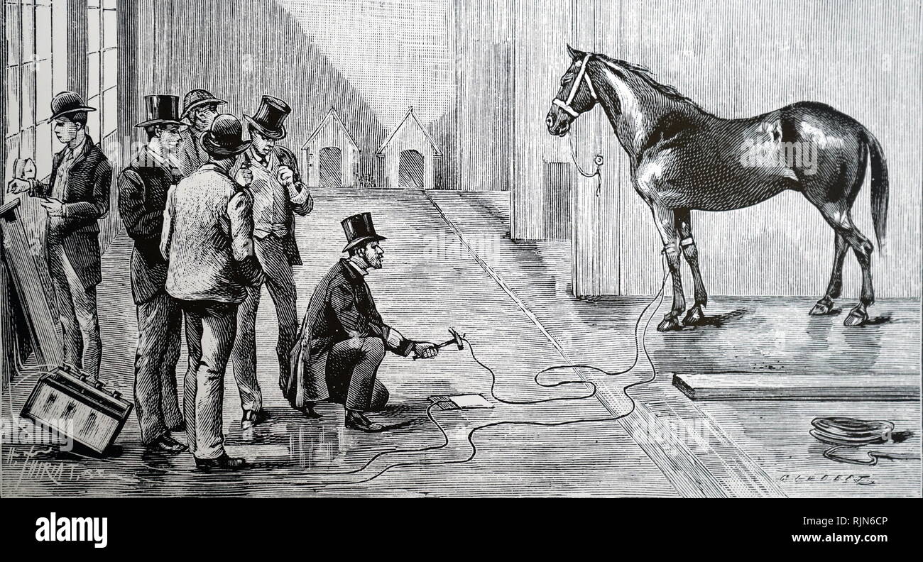 Illustrazione che mostra la sperimentazione effettuata in laboratorio di Edison a Orange, sotto la supervisione di Harold P. Brown per l'utilizzo di elettricità per uccidere un cavallo e infine come una modalità di esecuzione. 1889. L'uomo accovacciato sta per completare il circuito con un martello. Horse 590kg è stato ucciso da 700 volt dopo 25 secondi. Foto Stock